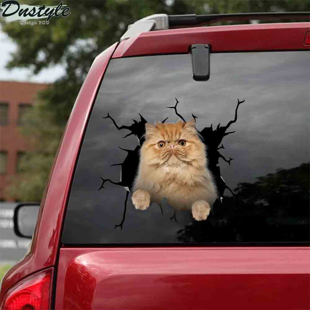 The american shorthair crack car decal sticker