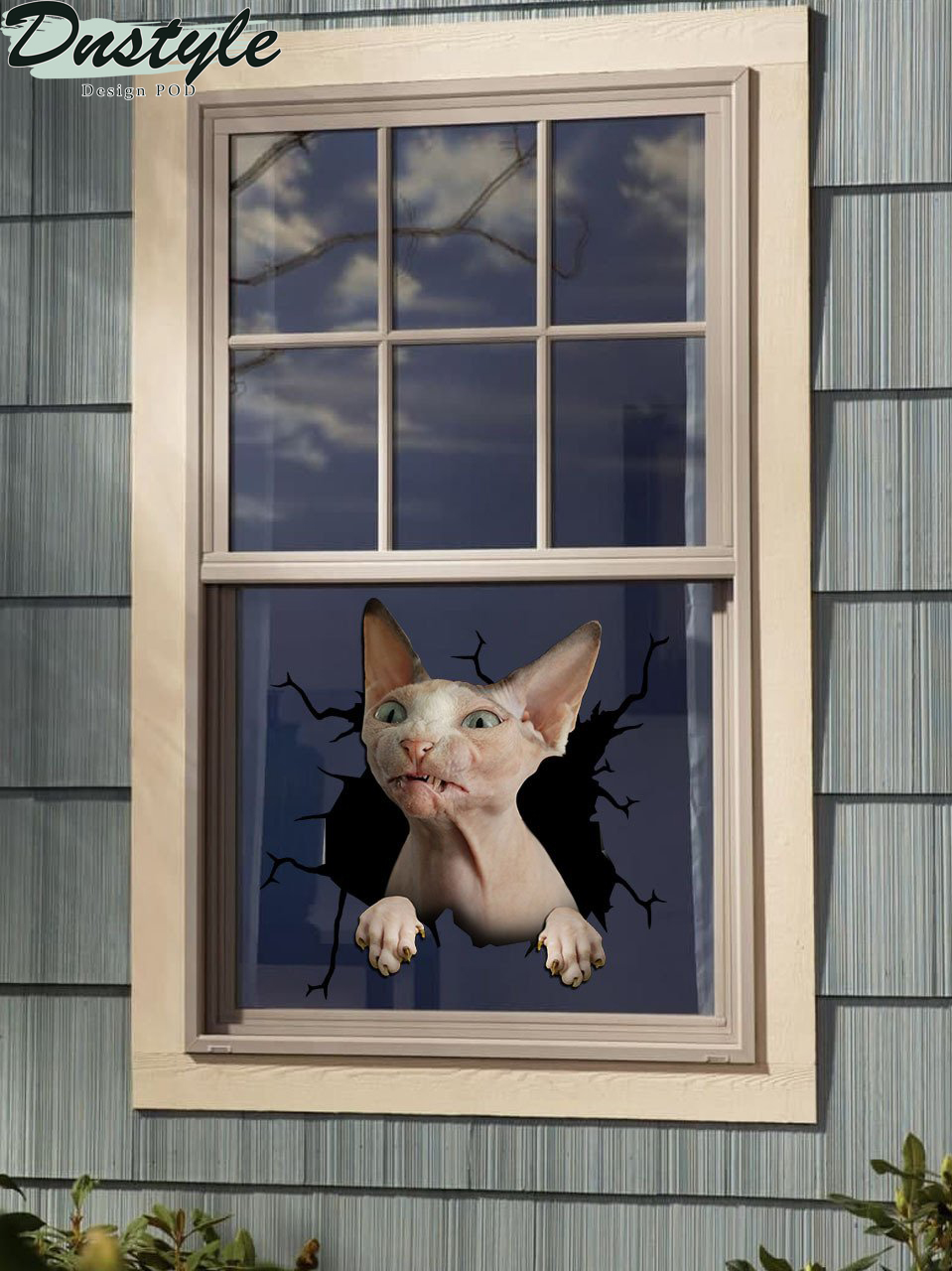 Sphynx cat crack window decal sticker