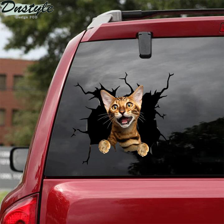 Cats tigers animal cute car decal sticker