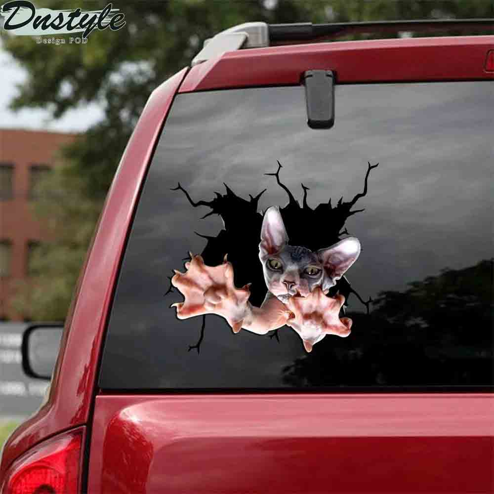 The maine coon yawn crack car sticker cats lover