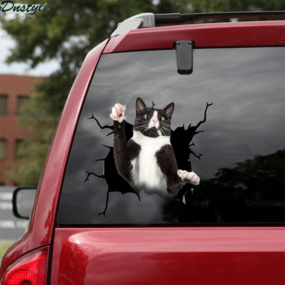 Sphynx cat crack window sticker cats lover